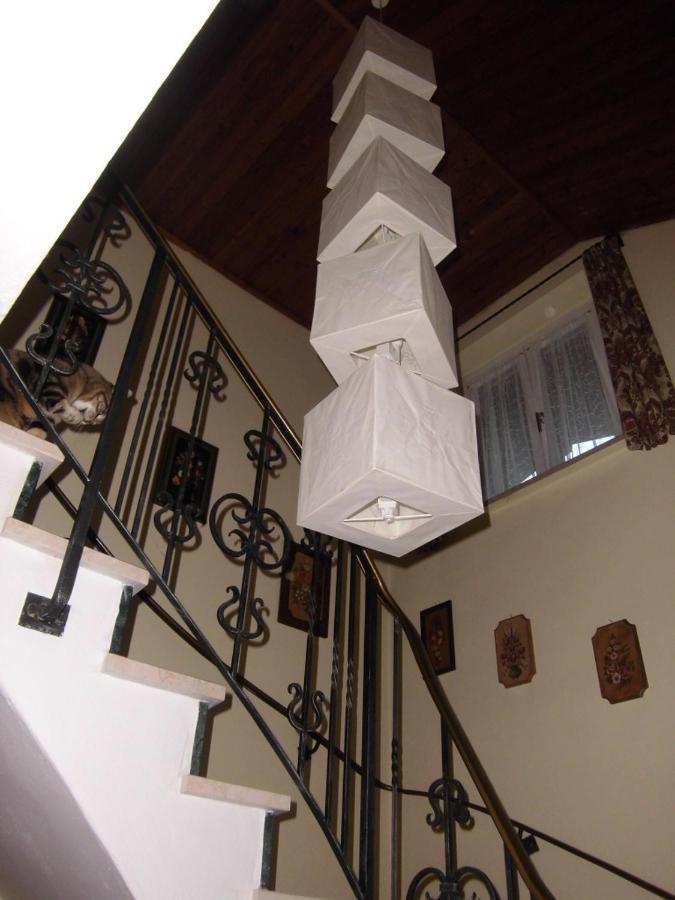 Appartements Haus Schmalzl Viehhofen Extérieur photo